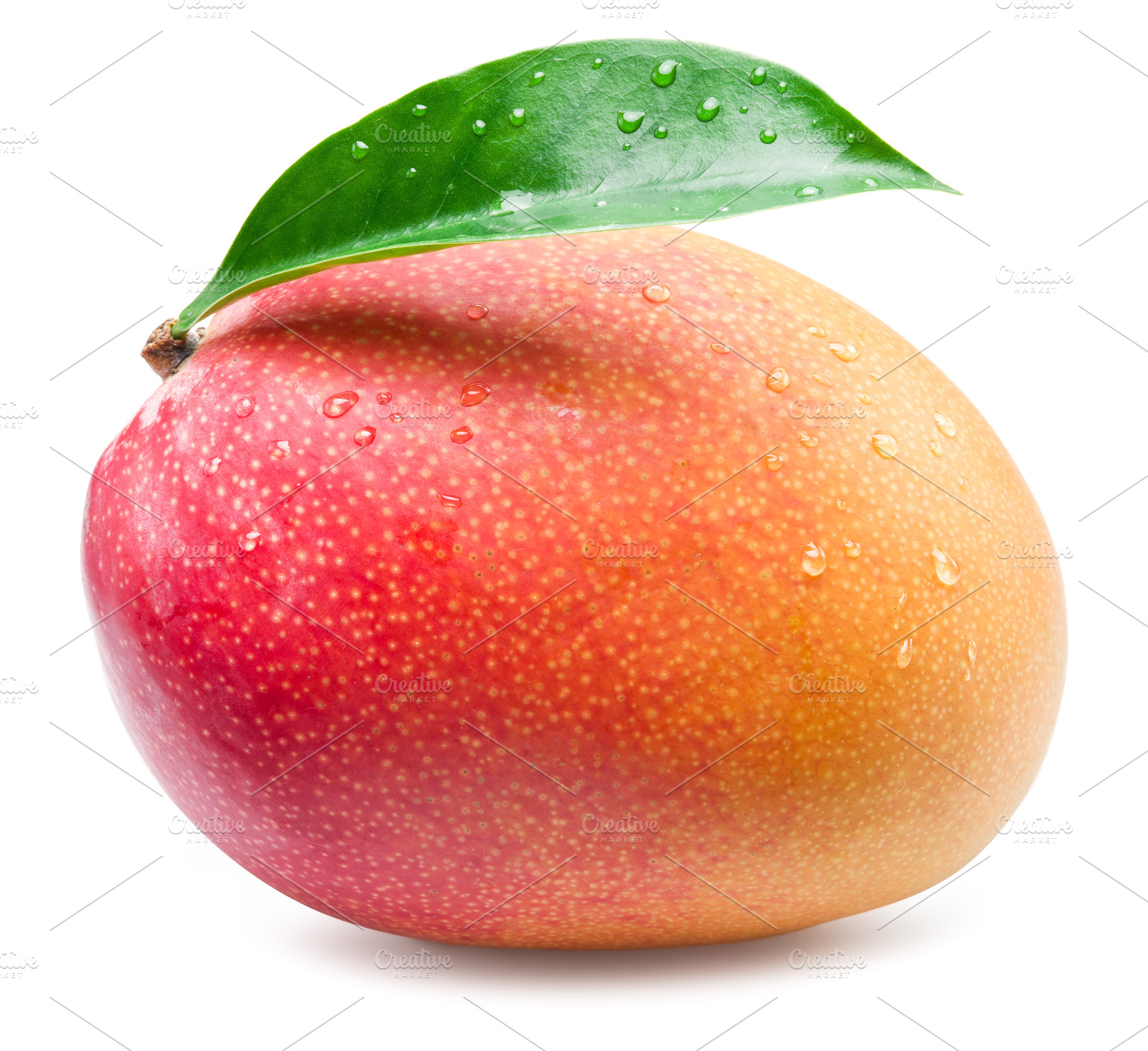 Mango fruit with leaf isolated on the white background., a Food & Drink Photo by Volff