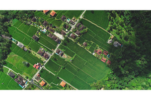 Aerial view of lush green rice, a Nature Photo by Goinyk