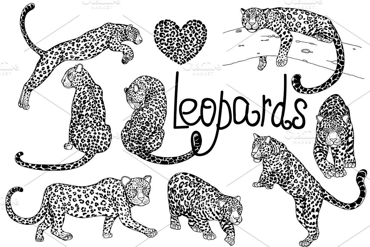 Leopards 3, an Animal Illustration by Ecaterina Sciuchina (Photo 1 of 6)