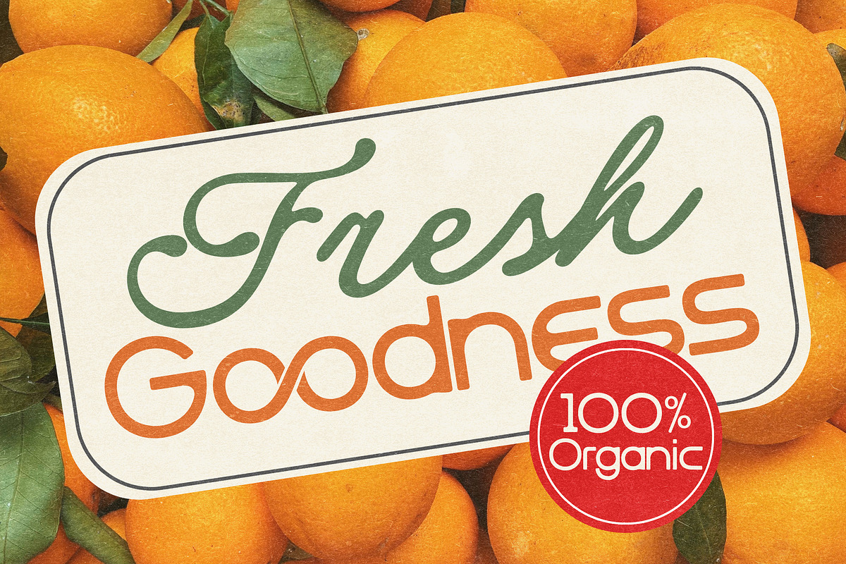 Milano Editorial Vintage, a Script Font by Letter Fresh (Photo 5 of 13)