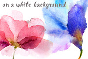 Watercolor flowers. 9 posters, an Illustration by Anna Guz's Store (Thumbnail 7 of 8)