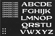 SHIRENS, a Serif Font by Bagerich Type Foundry (Thumbnail 3 of 9)