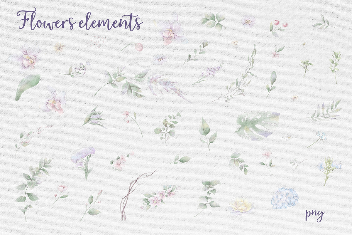 Watercolor flowers Orchids clipart, an Illustration by Yuliya Art (Photo 7 of 18)