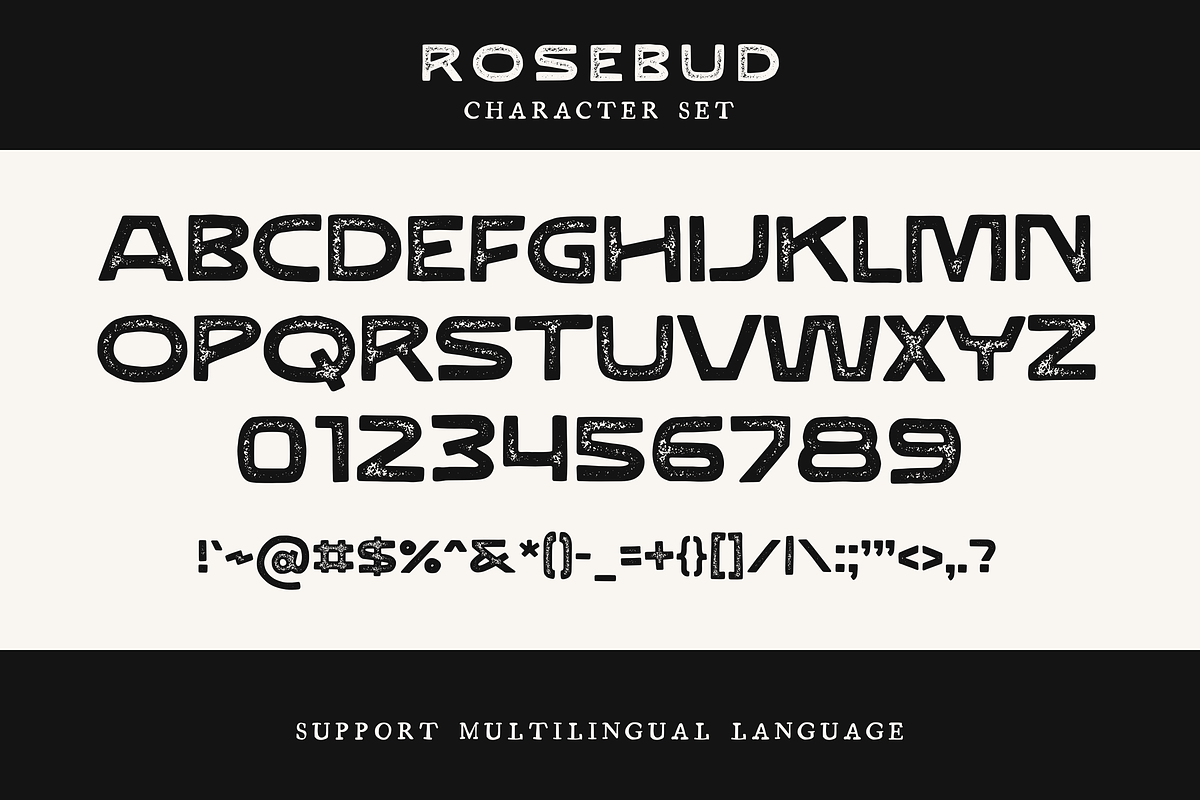 Rosebud - Vintage Letterpress Font, a Sans Serif Font by Graphicfresh (Photo 6 of 8)