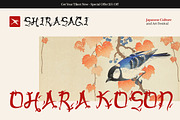 Kaze Japanese Asian Display Font, a Script Font by Vadovastd (Thumbnail 4 of 8)