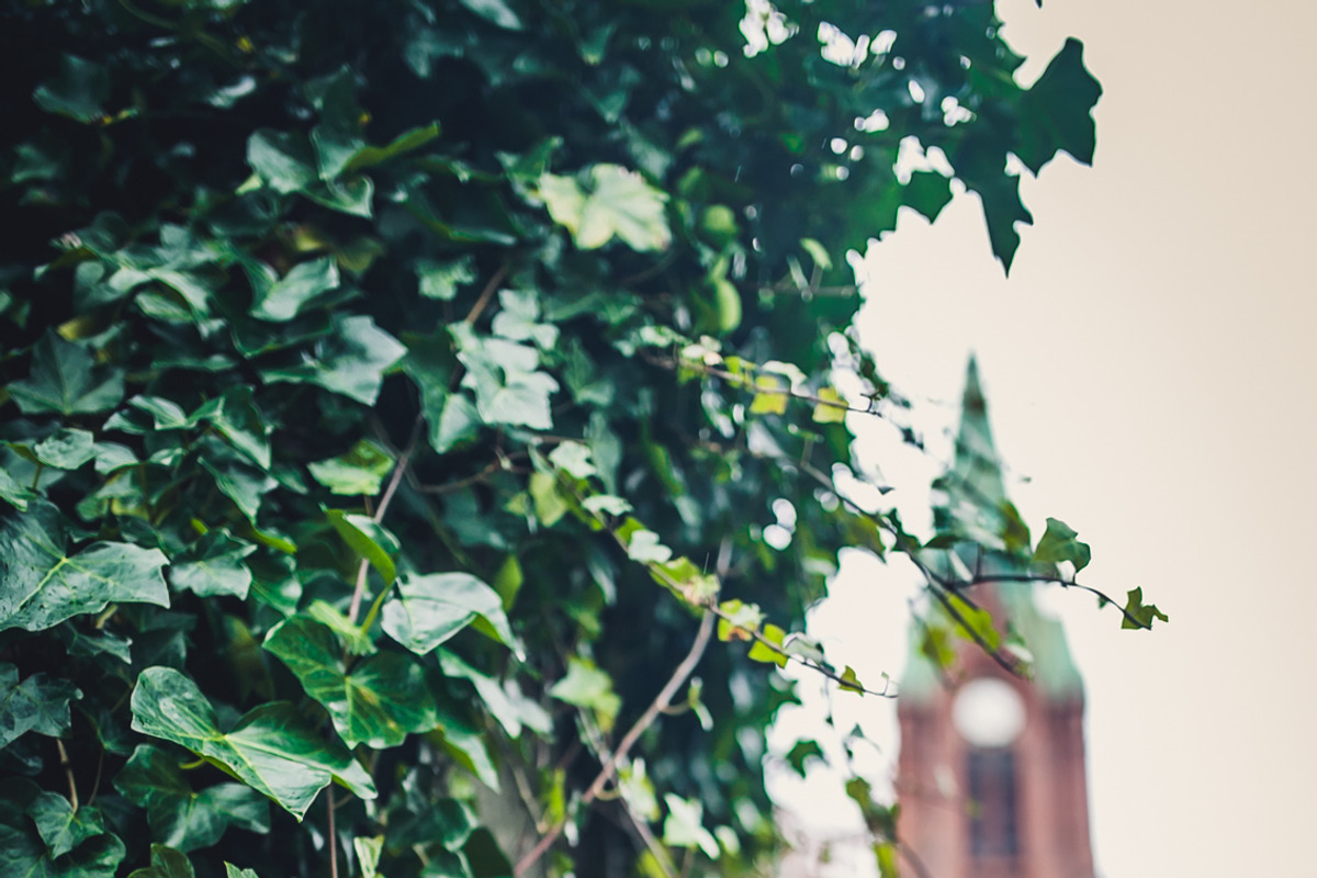 LIGHTROOM PRESETS - travel lifestyle, an Action Add-On by Graphics, Presets, Photos (Photo 30 of 67)