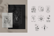 Mushrooms. collection, a Decorative Illustration by Merfin (Thumbnail 3 of 6)