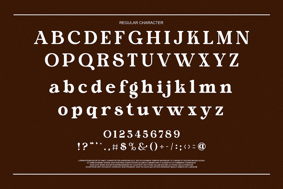 Morina Borick Elegant Ligature Serif, a Serif Font by Alfinart (Photo 7 of 10)