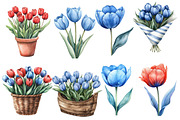 Amsterdam Summer Tulips Clipart, an Illustration by Designworld (Thumbnail 5 of 6)
