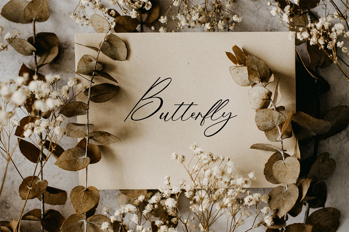 Catamount Signature Font, a Handwritten Font by UICreative (Photo 3 of 13)