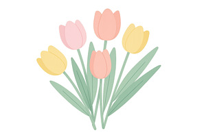 Colorful tulips arranged in a, an Object Illustration by ZinetroN