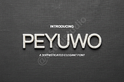 Peyuwo - Elegant & Sophisticated Ser, a Font by Astuti Studio (Thumbnail 1 of 16)
