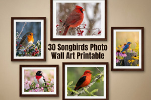 30 Songbirds Photo WallArt Printable