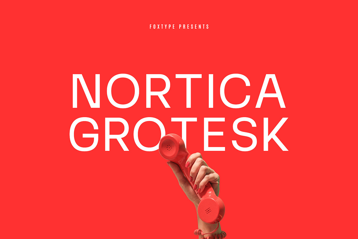 Nortica Display Typeface, a Sans Serif Font by Foxtype (Photo 1 of 8)
