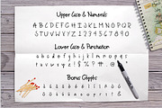 Premium Font Bundle, a Script Font by Flycatcher Design (Thumbnail 123 of 140)