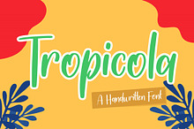Handwritten Font