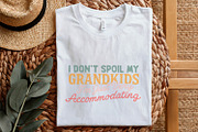 I Don’t Spoil My Grandkids PNG, an Illustration by SharpMarketplace (Thumbnail 5 of 9)