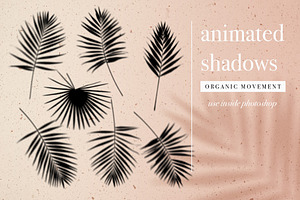 Animated Organic Palm Leaf Shadow