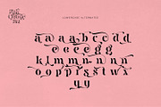 Pink Crestelle Font on Sale, a Slab Serif Font by creativemedialab (Thumbnail 13 of 17)