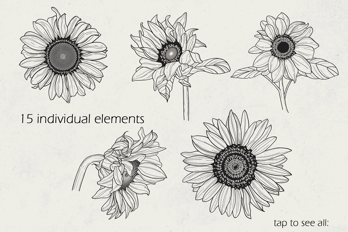 Sunflower line art collection, a Decorative Illustration by DamriNa art (Photo 2 of 8)