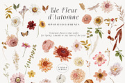 Autumn fall Watercolor warm flowers, a Seasonal Illustration by Grace Noboa Illustrations (Thumbnail 6 of 6)