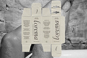 Aesthetic Styles - Tall Serif, a Serif Font by Sarid Ezra (Thumbnail 6 of 11)