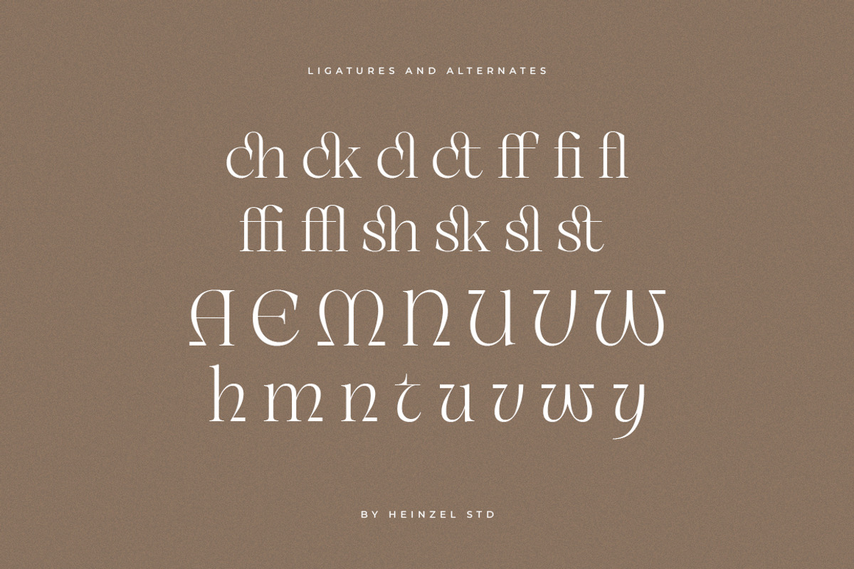 Unclare Serif Font Family (10 Fonts), a Serif Font by Heinzel Std (Photo 15 of 19)
