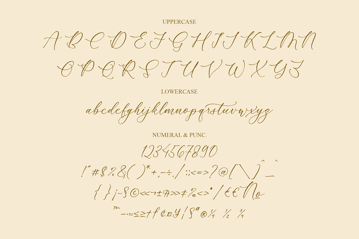 Rumaysa Chambert Luxury Script, a Serif Font by Storytype Studio (Photo 13 of 16)