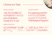 Gastic Modern Editorial Serif, a Serif Font by timelesstype.co (Thumbnail 9 of 10)