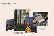 Earthy Eco Nature Brand Logo Kit, a Branding & Logo Template by CreativeWilderness (Thumbnail 3 of 19)