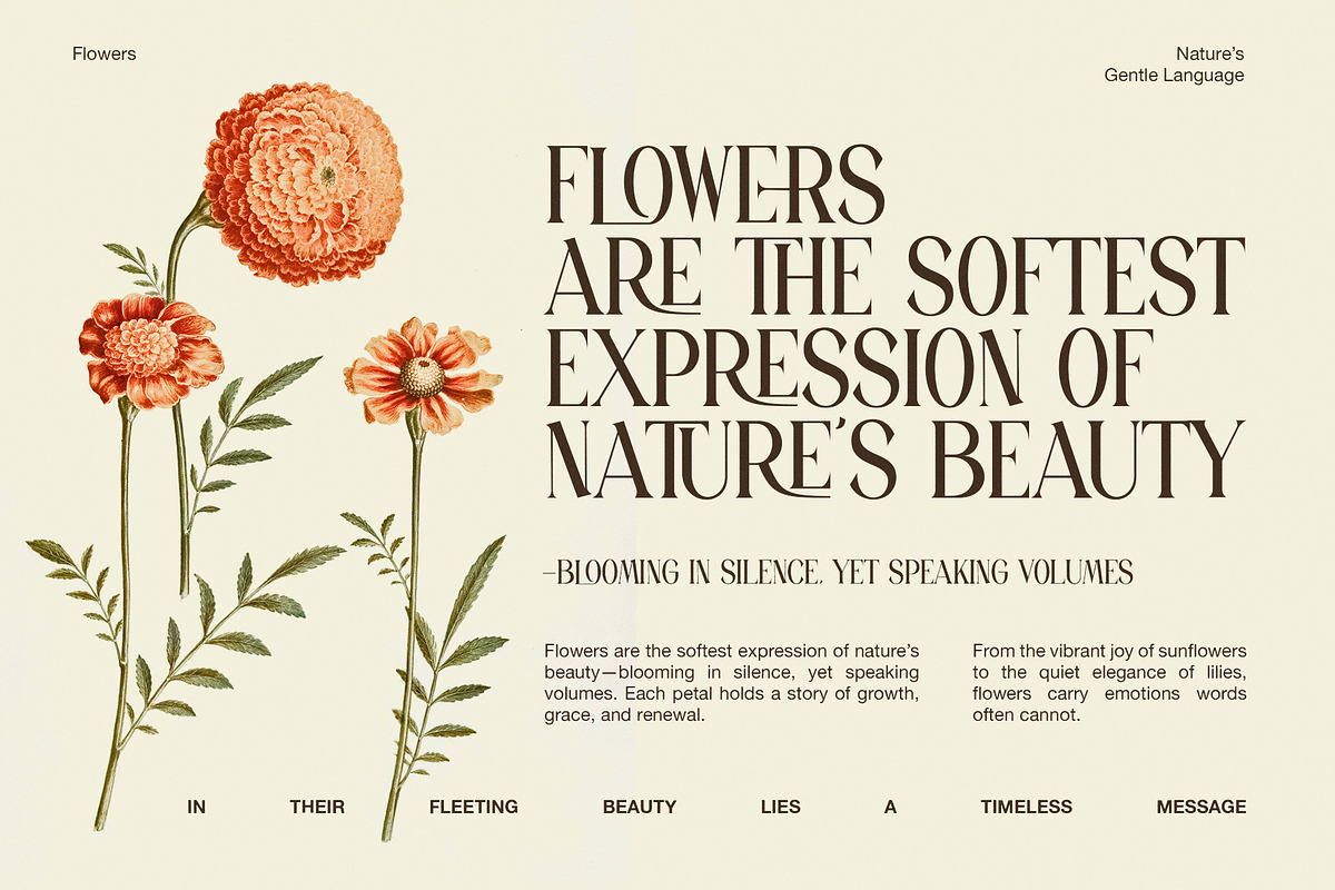 Holand Elegant Serif Font, a Serif Font by Perfectype (Photo 3 of 8)