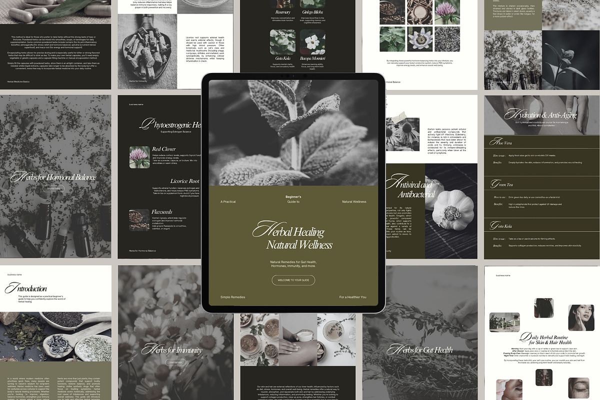 Herbal Medicine Ebook Template, a Magazine Template by Terraa Studio Design (Photo 8 of 9)