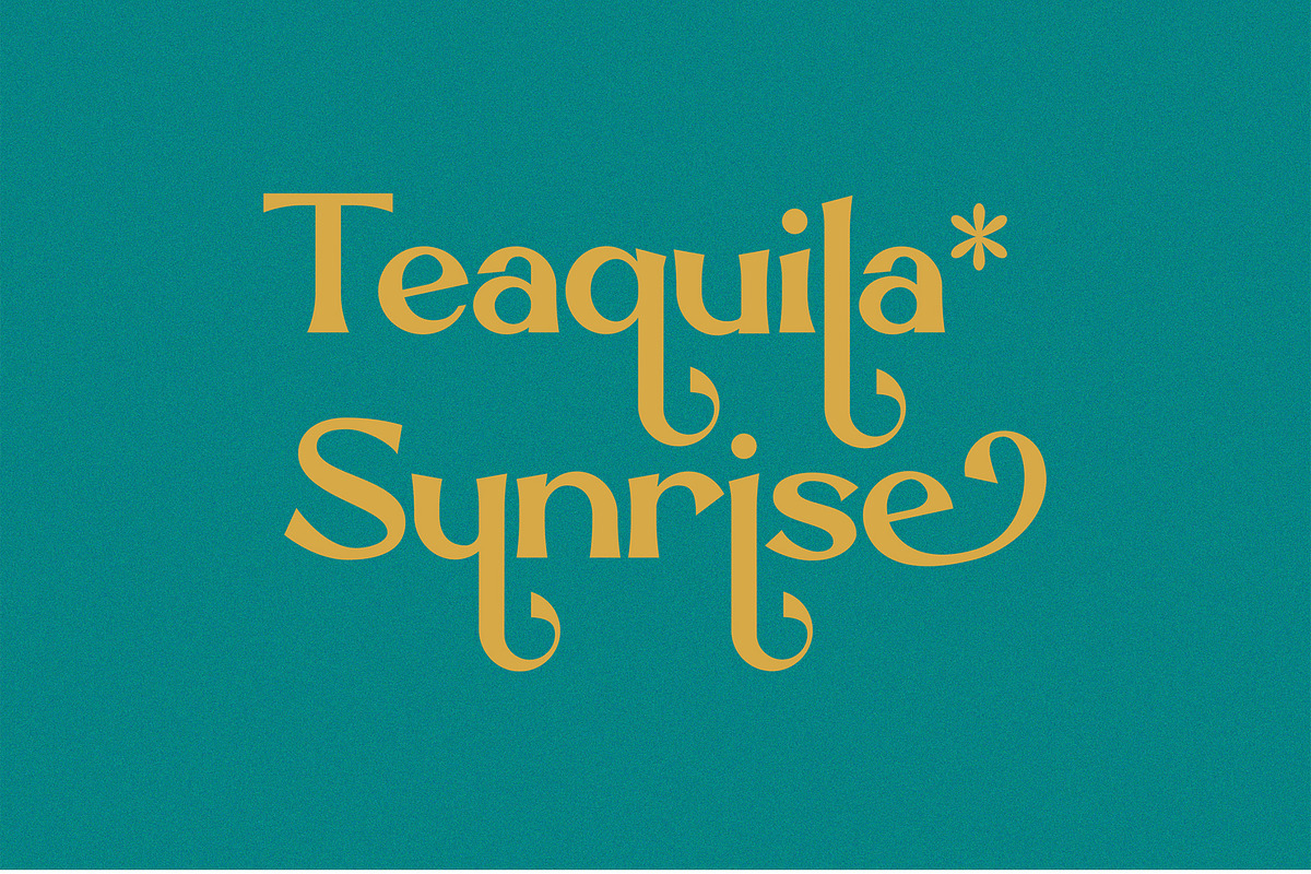Marcgravia - Modern Serif, a Serif Font by erlosDESIGN (Photo 6 of 12)
