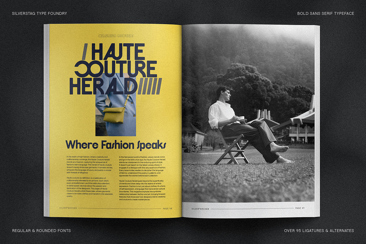 FlyBridge - Bold Ligature Rich Sans, a Sans Serif Font by SilverStag Type Foundry (Photo 10 of 30)