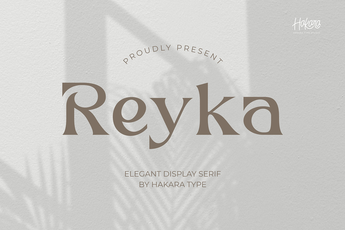 Reyka - Stylish Display Serif, a Serif Font by Hakara Type (Photo 1 of 9)