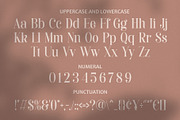 Qafinga - Classy & Stylish Serif, a Serif Font by TypeLogue (Thumbnail 5 of 5)