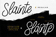Sláinte Script, a Script Font by Twicolabs Fontdation (Thumbnail 8 of 11)