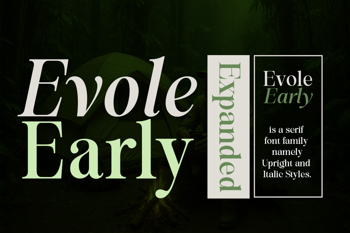 Evolve Early Serif Font Family, a Serif Font by groens (Photo 13 of 15)