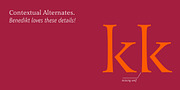 Benedikt, a Sans Serif Font by Finaltype (Thumbnail 17 of 20)