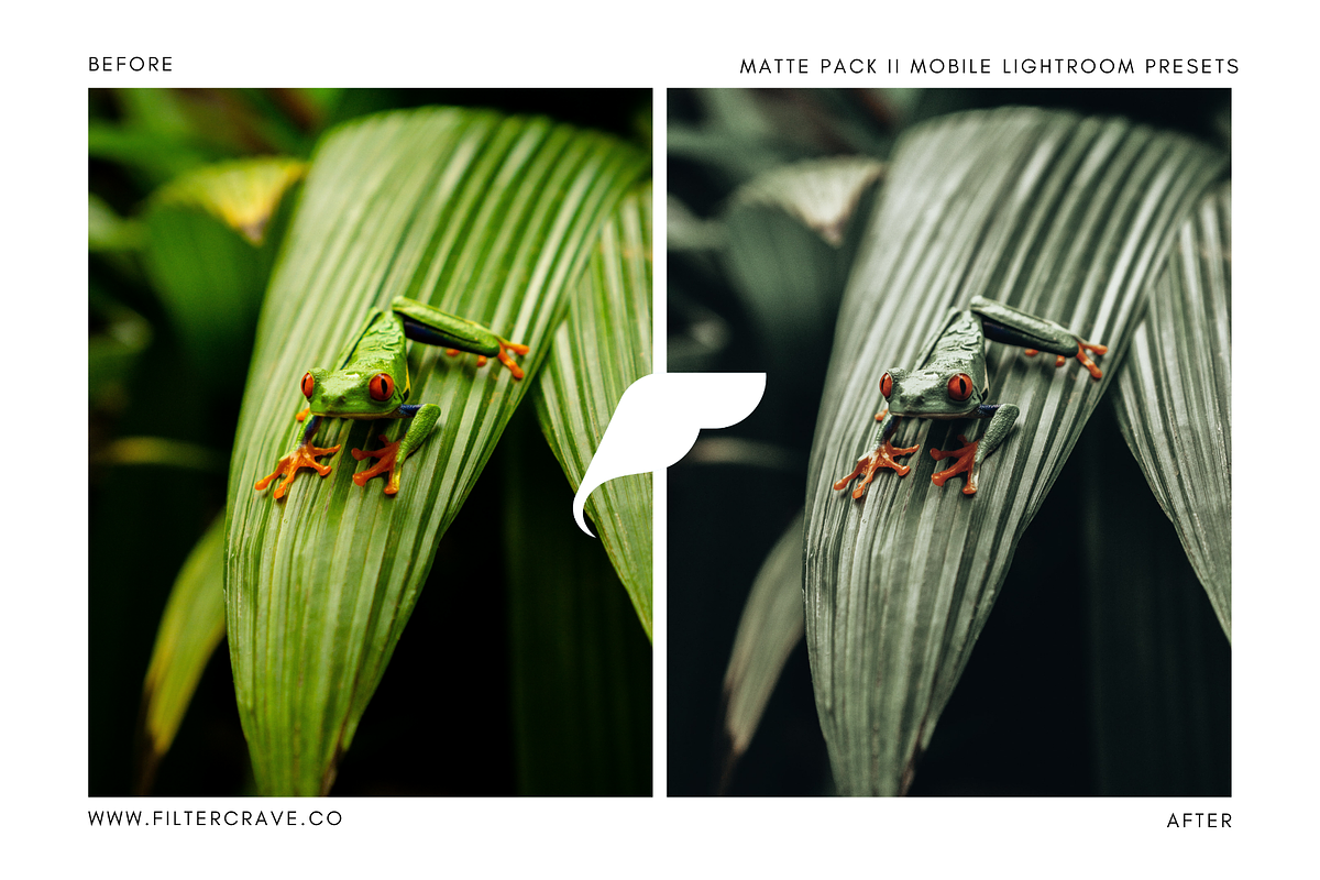 30+ Matte Lightroom Presets Vol. II preview 3