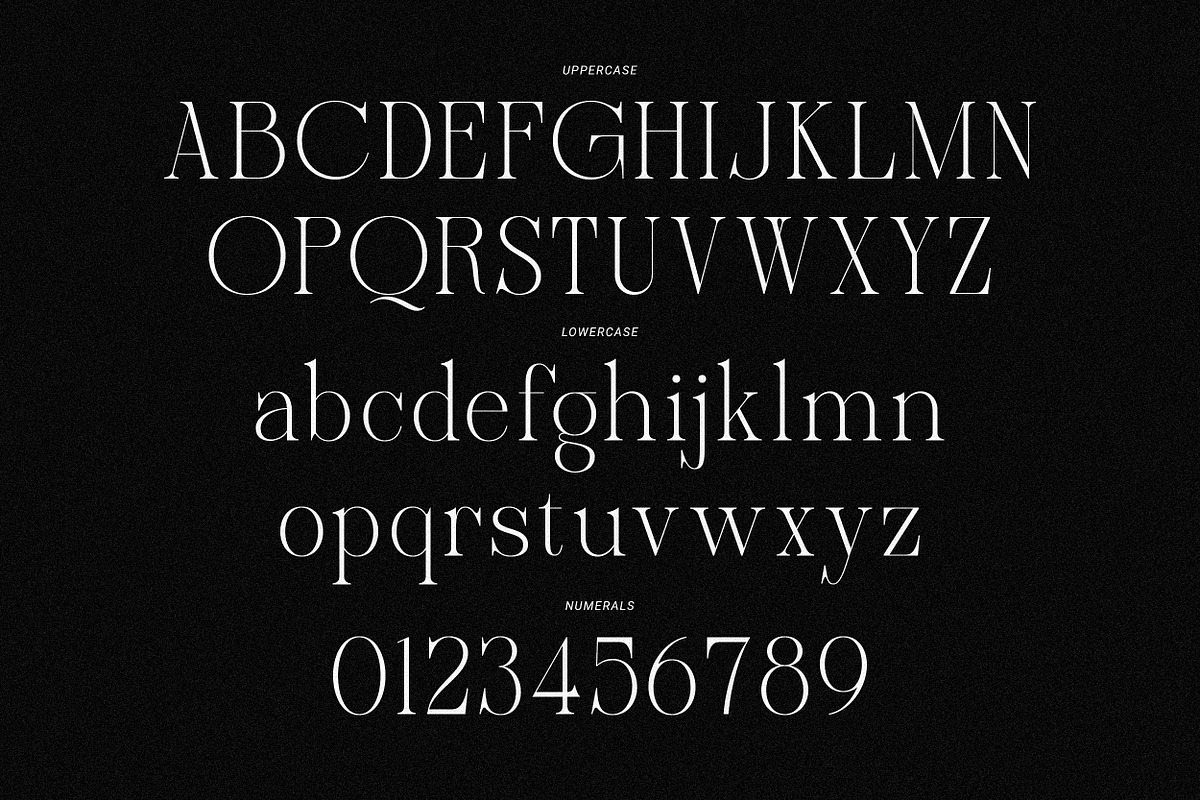 Sherlock Serif Family (126 Fonts), a Serif Font by Mahesans Co (Photo 23 of 25)