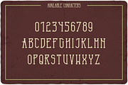 Terminal typeface, a Symbol Font by VozzyStock (Thumbnail 2 of 7)