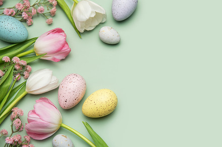 Easter eggs and tulips creating a border on pastel green backgro, a Photo by Olena Rudo