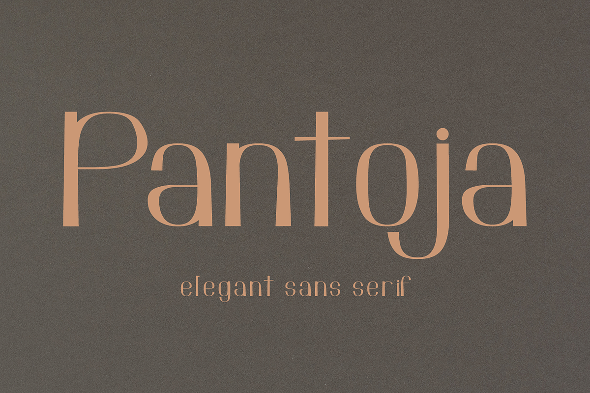 Pantoja sans serif, a Sans Serif Font by Quothron (Photo 1 of 8)