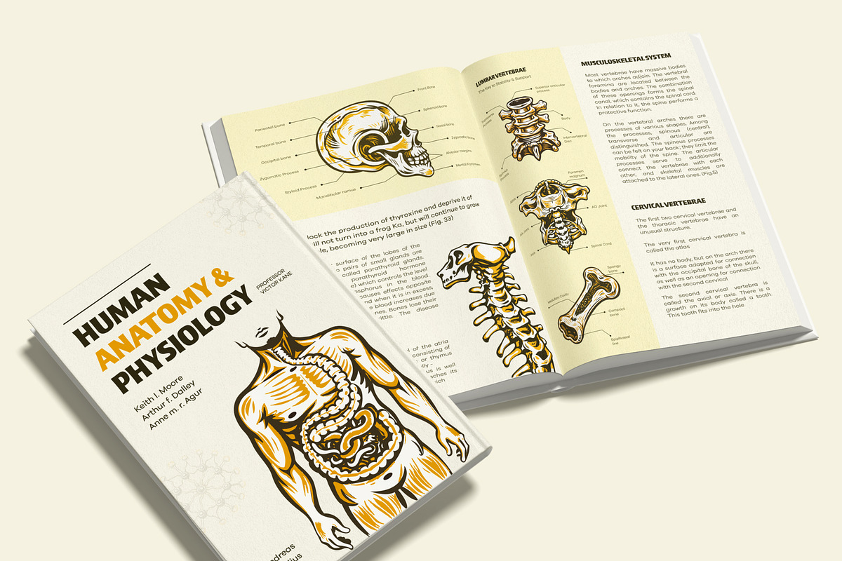 Vintage Antique Anatomy Illustration, a Healthcare Illustration by Creative Stall (Photo 3 of 8)