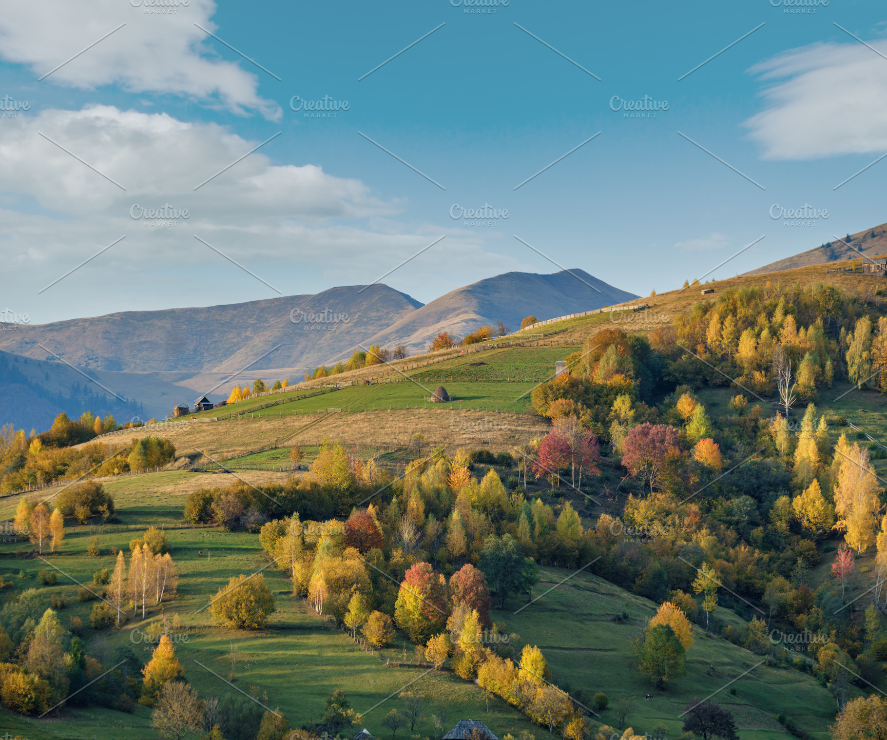 Autumn morning Carpathian Mountains calm picturesque scene, Ukra, a Nature Photo by YuriyB