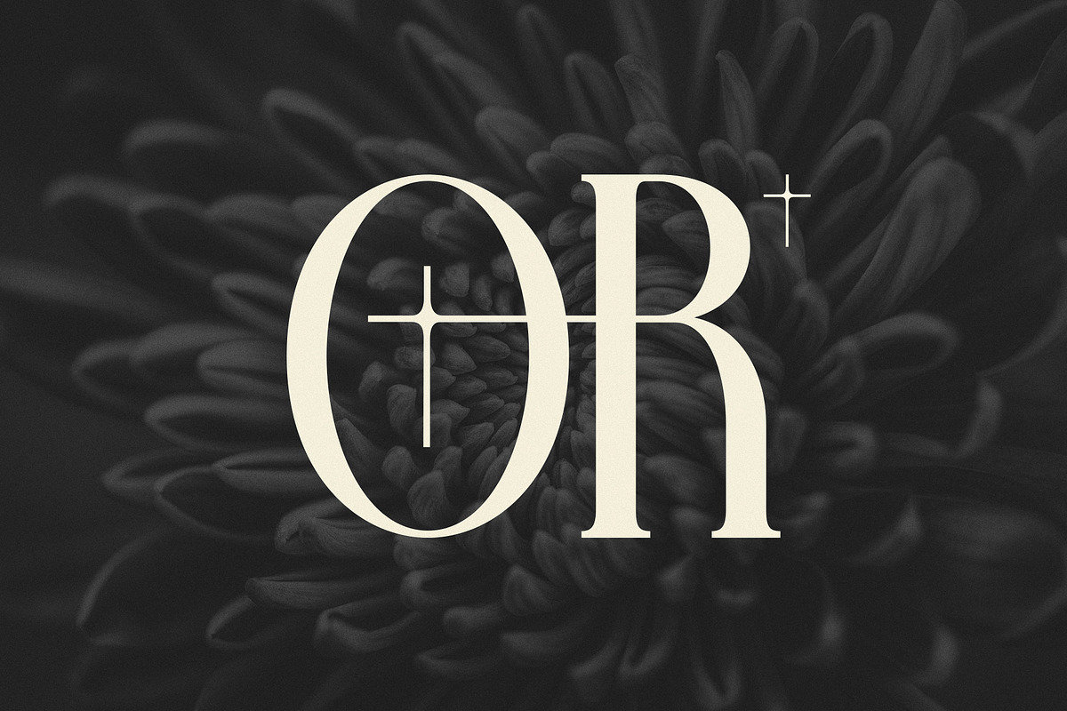 Farqey Denours Serif Font, a Serif Font by Heinzel Std (Photo 8 of 19)