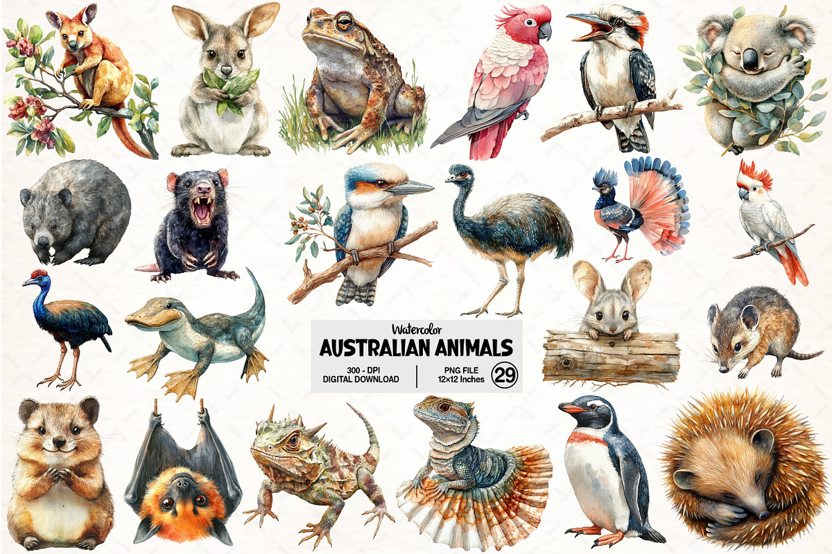 Australian Animals Clipart, an Illustration by Pixels.Craft (Photo 1 of 6)