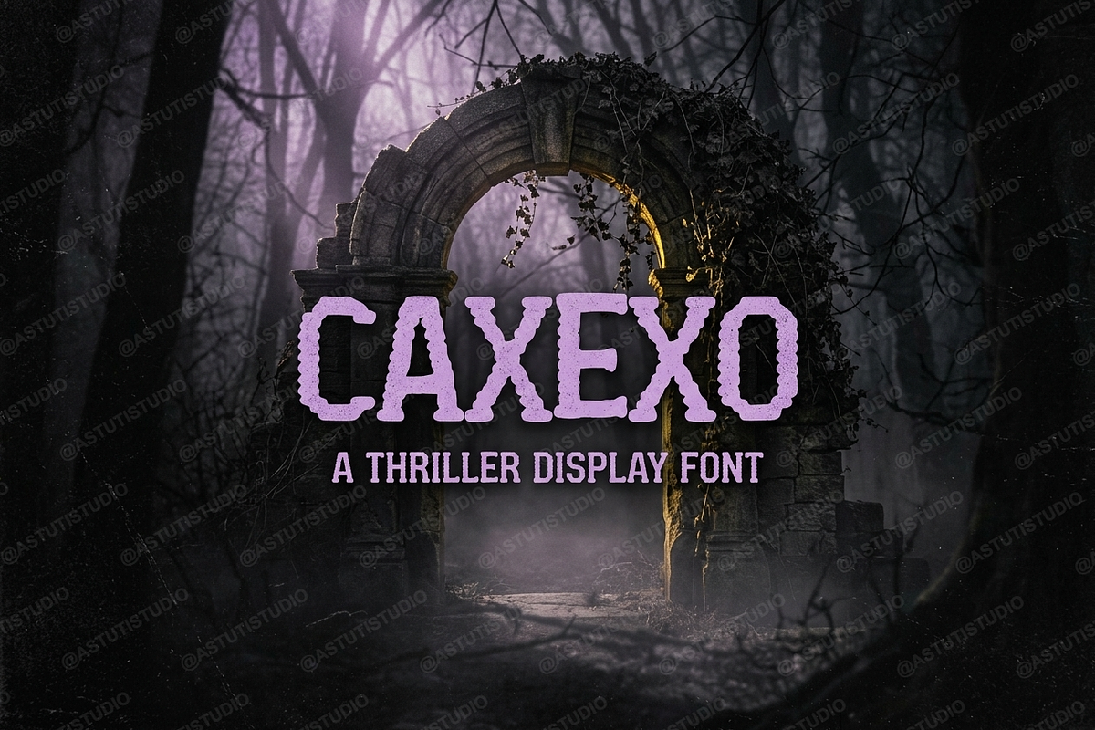 Caxexo - Modern Elegant Serif, a Serif Font by Astuti Studio (Photo 18 of 25)