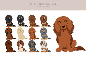 Dachshund Longhaired Clipart